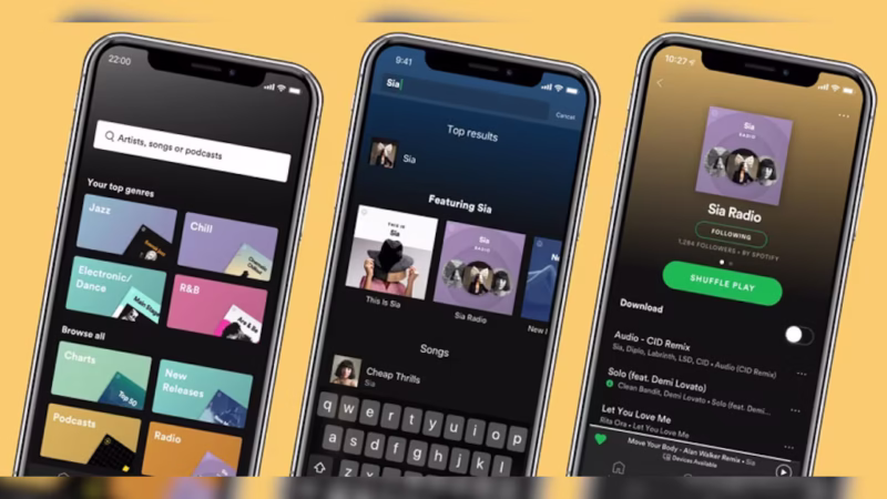 Spotify Premium 12 Monate - Global – Bild 2